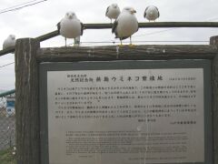 ���ˎs�����E�~�l�R�ɐB�n