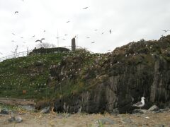 ���ˎs�����E�~�l�R�ɐB�n