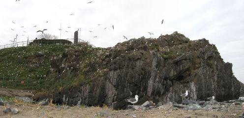 2002-04-07 ���� �E�~�l�R�ɐB�n�ɂā@�i�X�����ˎs�j