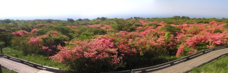 2010-06-03 �ߐ{���� �����i��킽�j����@�i�Ȗ،��ߐ{�S�ߐ{���j